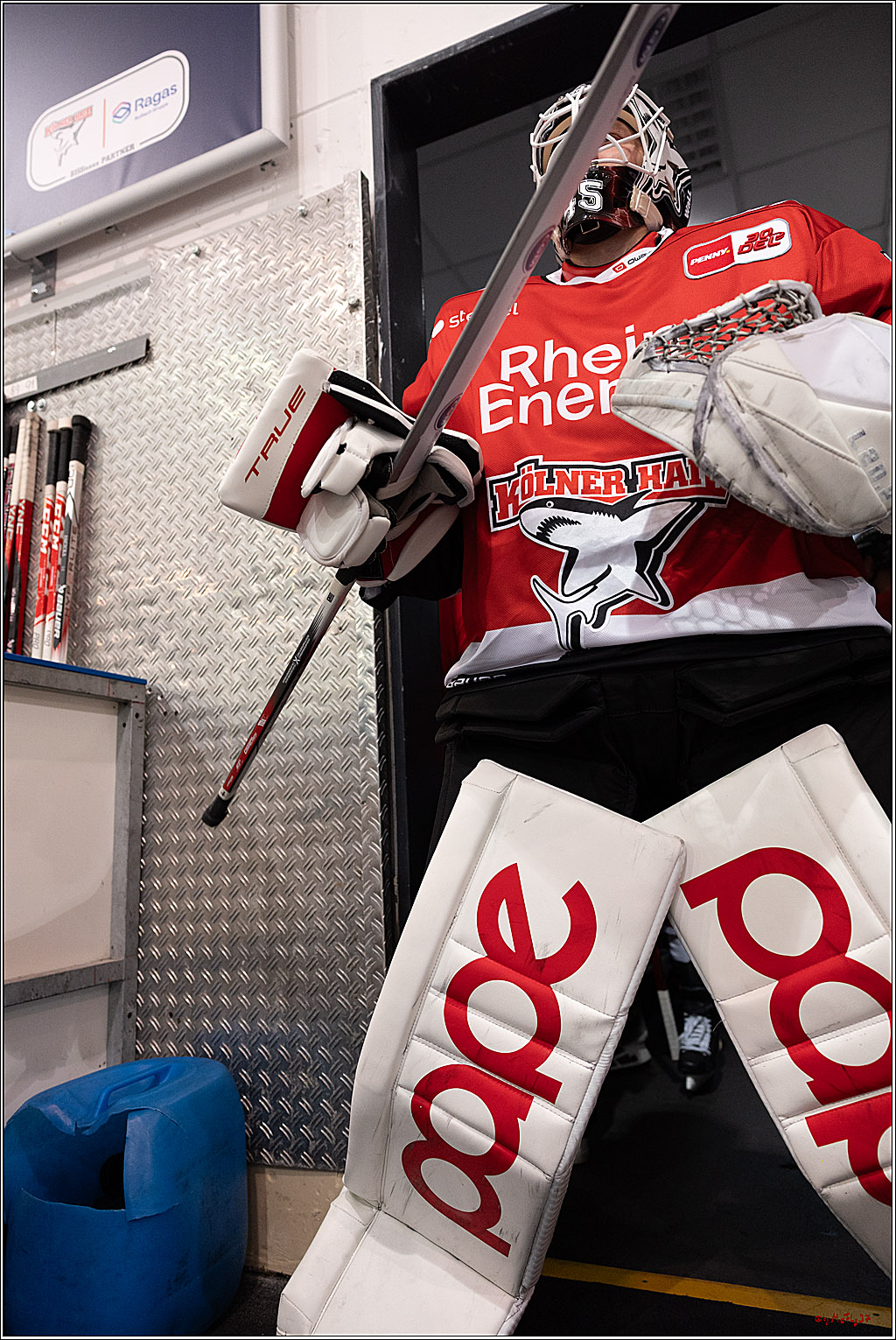 PENNY DEL 1. Testspiel Koelner Haie - Loewen Frankfurt; Koeln, 27.08.2023